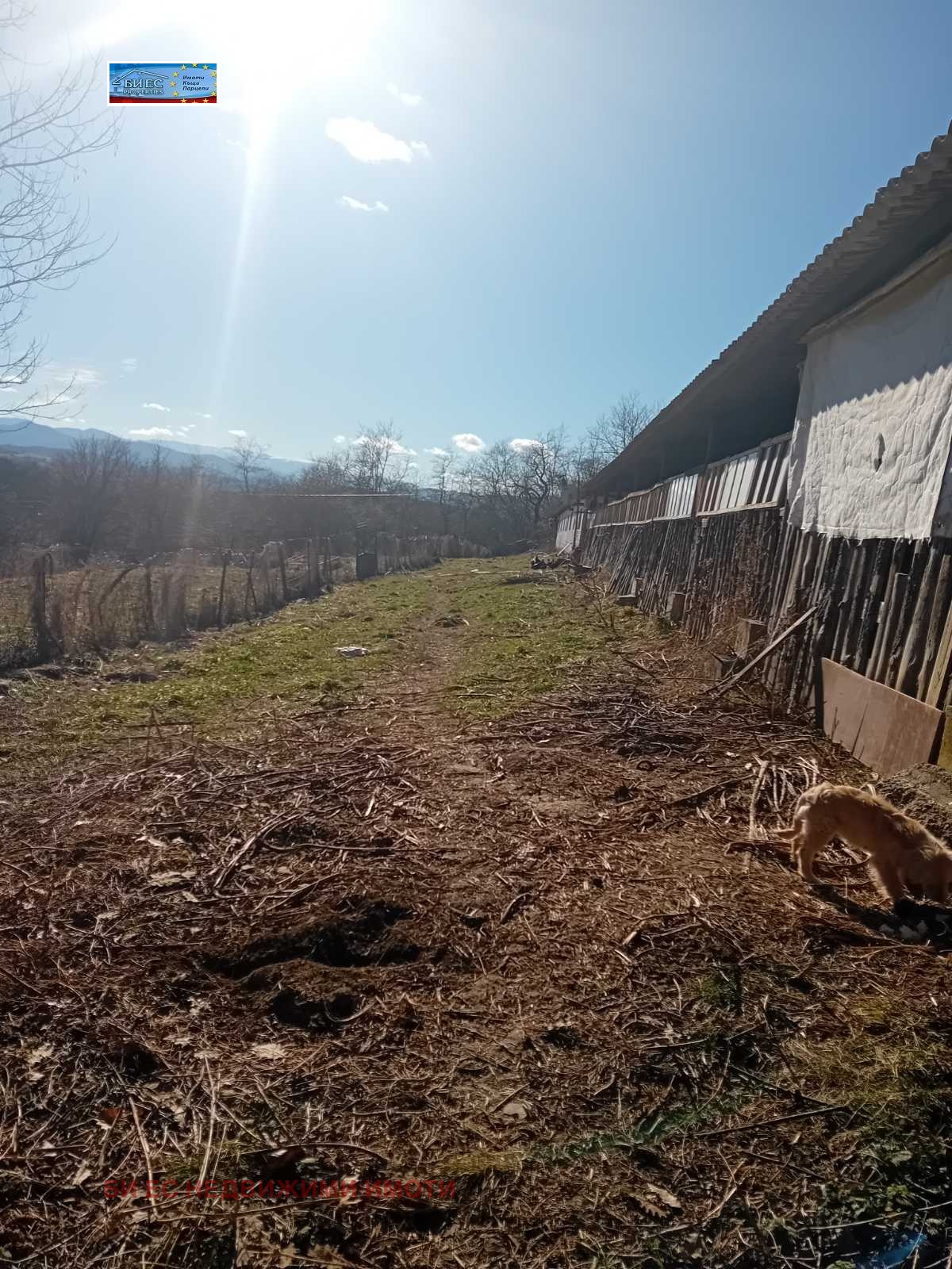 ������� ����� | Imot.bg � ����������� 17