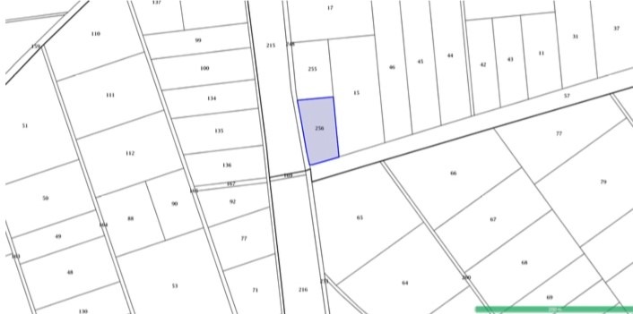 Zu verkaufen  Land region Plowdiw , Rogosch , 3 dka | 67217345 - Bild [2]