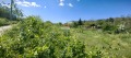 Продава ПАРЦЕЛ, гр. Варна, Изгрев, снимка 3
