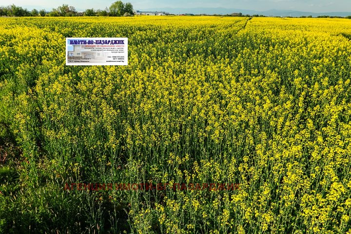 ������� ������ | Imot.bg � ����������� 1