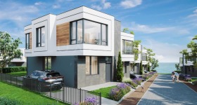 ����� ������� ����,���� ������, ���������