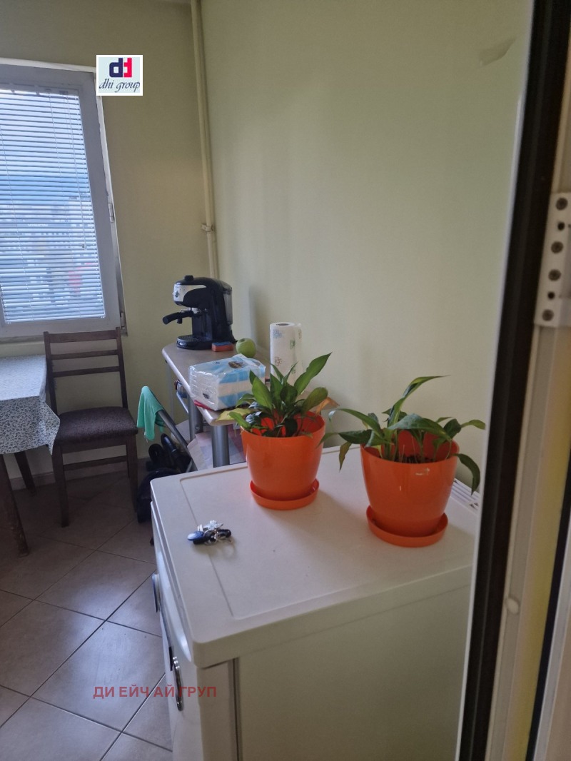 Продаја  Студио Софија , Дружба 1 , 48 м2 | 61639664 - слика [13]