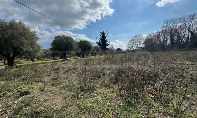 Продава ПАРЦЕЛ, Извън страната, област Извън страната, снимка 2 - Парцели - 51238710