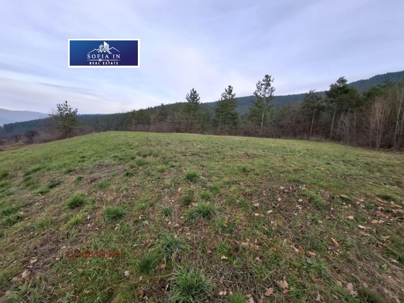 Продава ПАРЦЕЛ, гр. Кюстендил, Колуша, снимка 4 - Парцели - 52639962