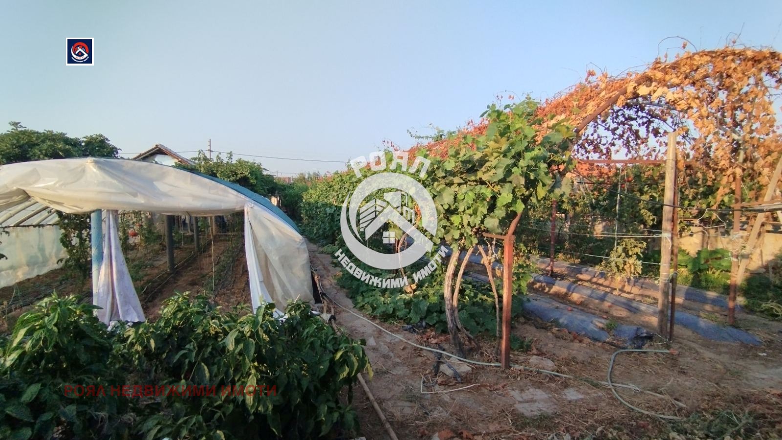 ������� ���� | Imot.bg � ����������� 6