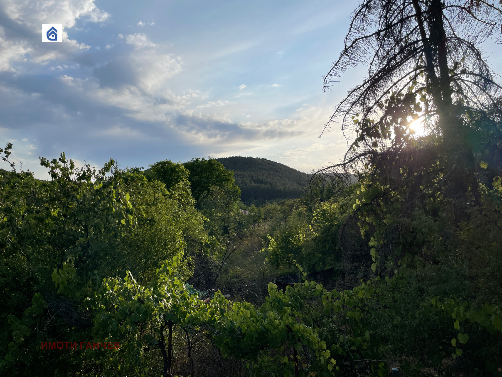 ������� ���� | Imot.bg � ����������� 4
