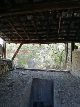 ������� ���� | Imot.bg � ����� ������ 5