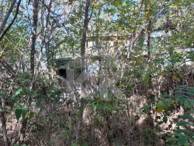 ������ ������� ������