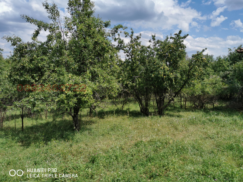 Продава КЪЩА, с. Смоляновци, област Монтана, снимка 7 - Къщи - 52782150