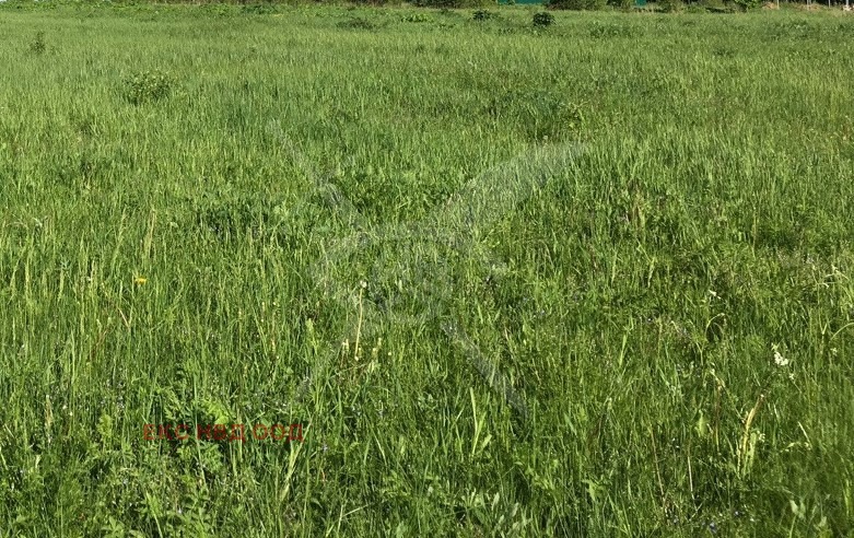 Продава ПРОМ. ПОМЕЩЕНИЕ, с. Мътеница, област Пловдив