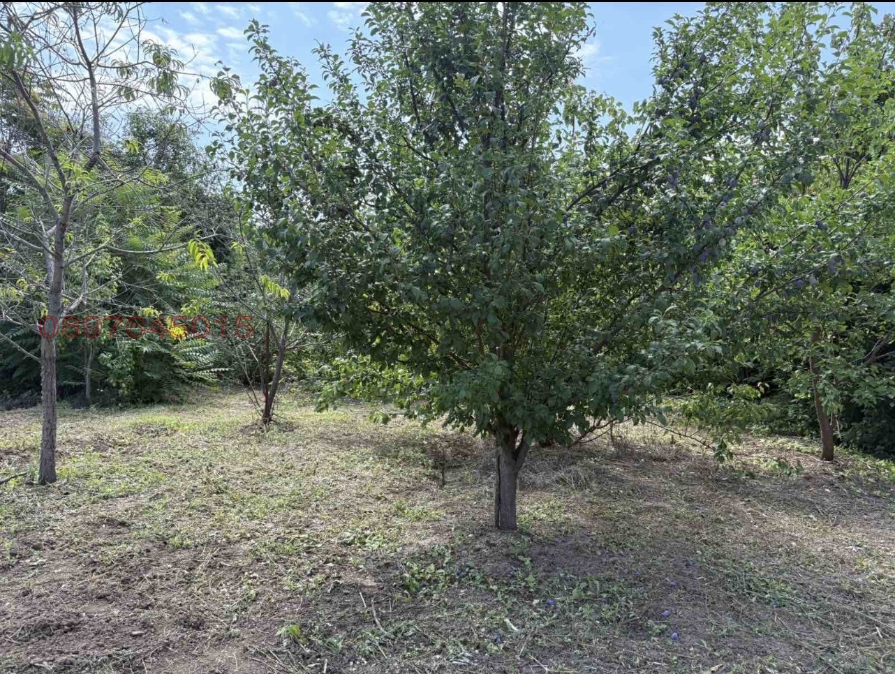Продава КЪЩА, с. Полски Сеновец, област Велико Търново, снимка 9 - Къщи - 55253412