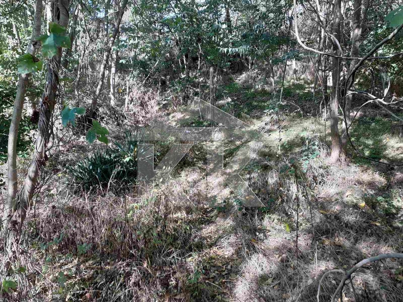 Продава ПАРЦЕЛ, гр. Варна, м-т Сотира, снимка 3 - Парцели - 53912761