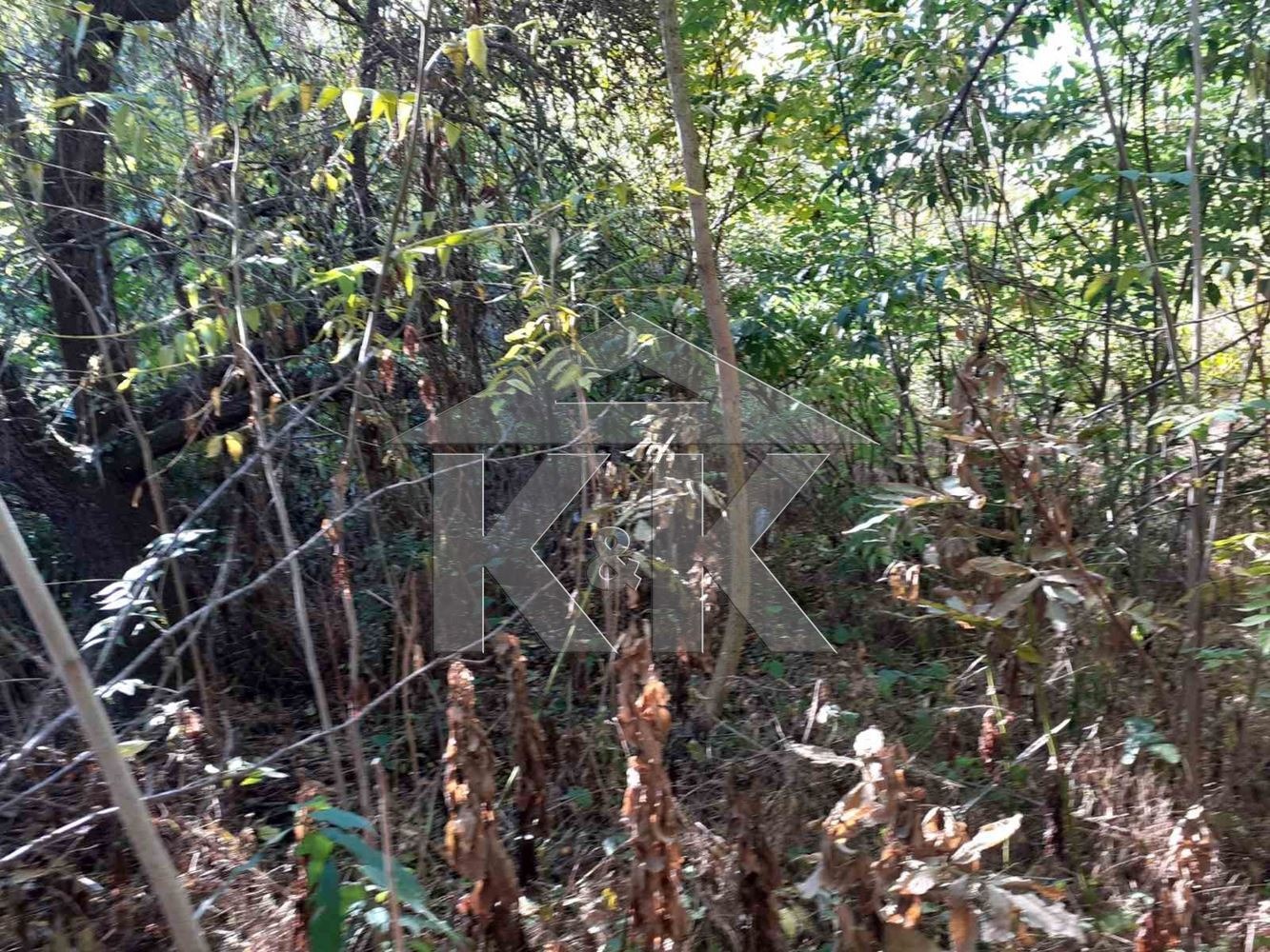 Продава ПАРЦЕЛ, гр. Варна, м-т Сотира, снимка 2 - Парцели - 53912761