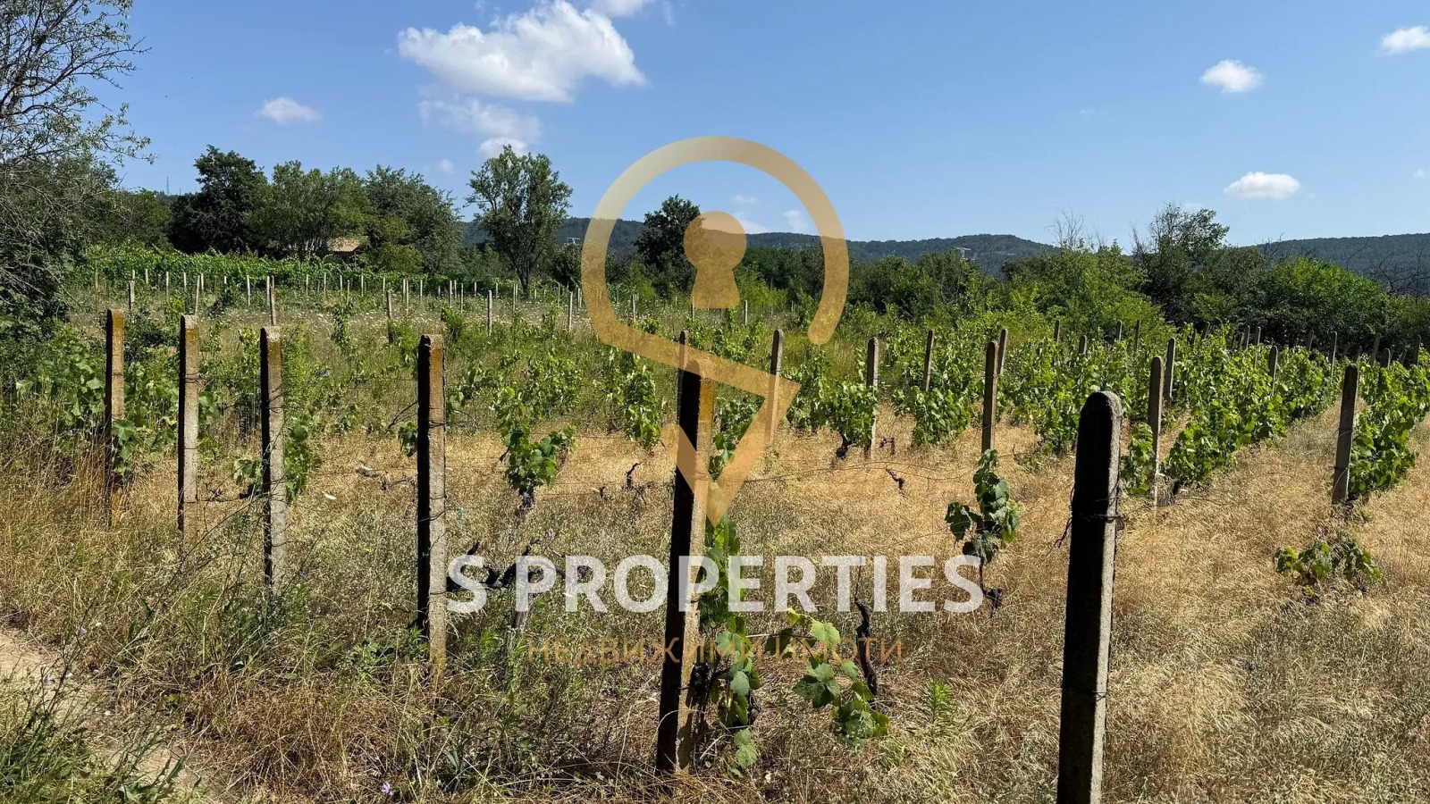 Продава ПАРЦЕЛ, гр. Аксаково, област Варна, снимка 6 - Парцели - 55387712