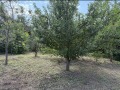 Продава КЪЩА, с. Полски Сеновец, област Велико Търново, снимка 9