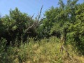 Продава ПАРЦЕЛ, с. Ивански, област Шумен, снимка 2
