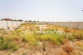 Продава КЪЩА, област Пловдив, с. Бенковски • 215000 € • 43902538 — Holmes.bg