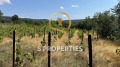 Продава  Парцел област Варна , гр. Аксаково , 584 кв.м | 37788823 - изображение [5]