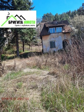 ������ ������� ������