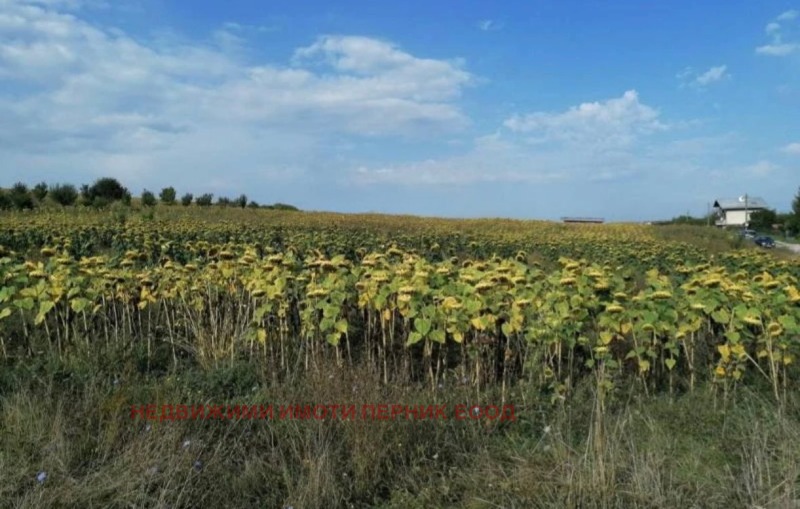 Til salgs  Plott region Pernik , Vitanovtsi , 1400 kvm | 41524423 - bilde [4]