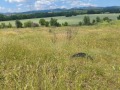 Продава ПАРЦЕЛ, гр. София, гр. Нови Искър, снимка 5