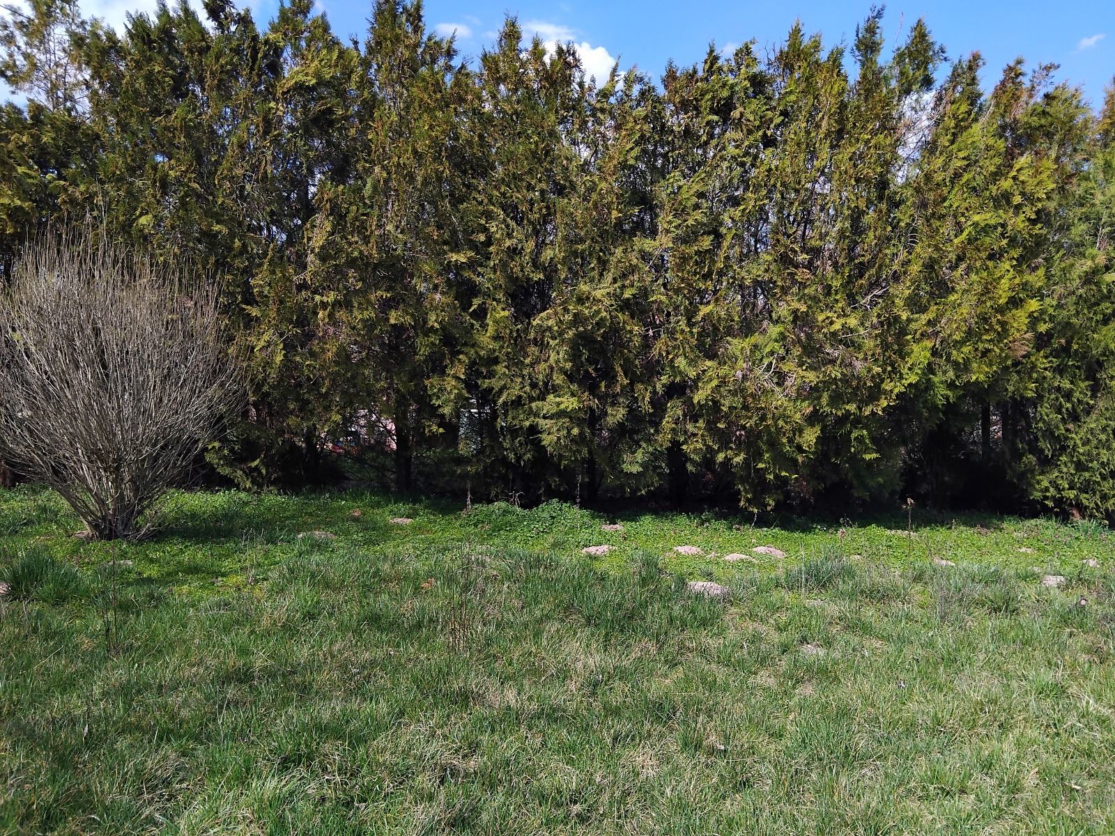 ������� ���� | Imot.bg � ����������� 4