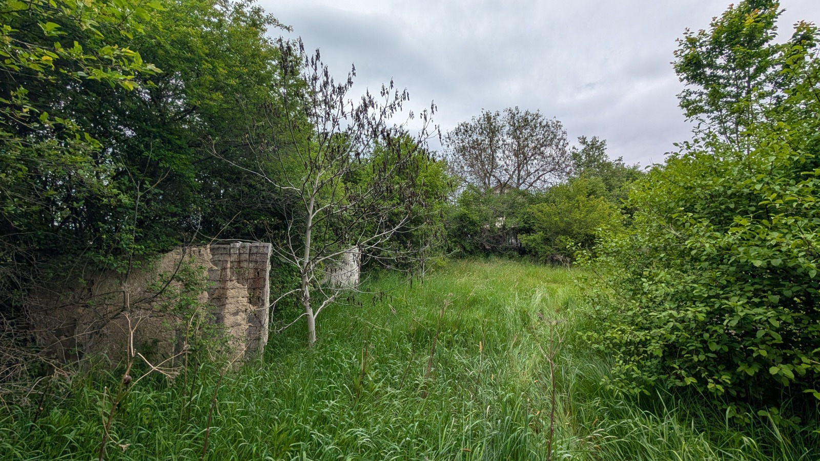 ������� ������ | Imot.bg � ����������� 7