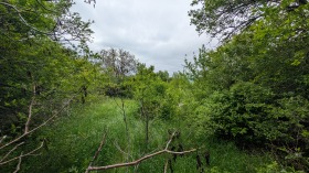 ������� ������ | Imot.bg � ����� ������ 8
