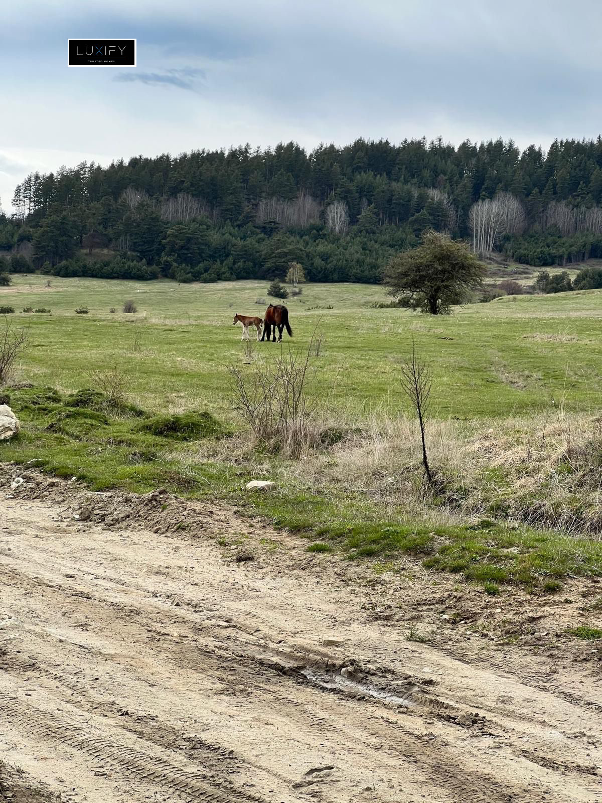 Продава ПАРЦЕЛ | Imot.bg — изображение 6