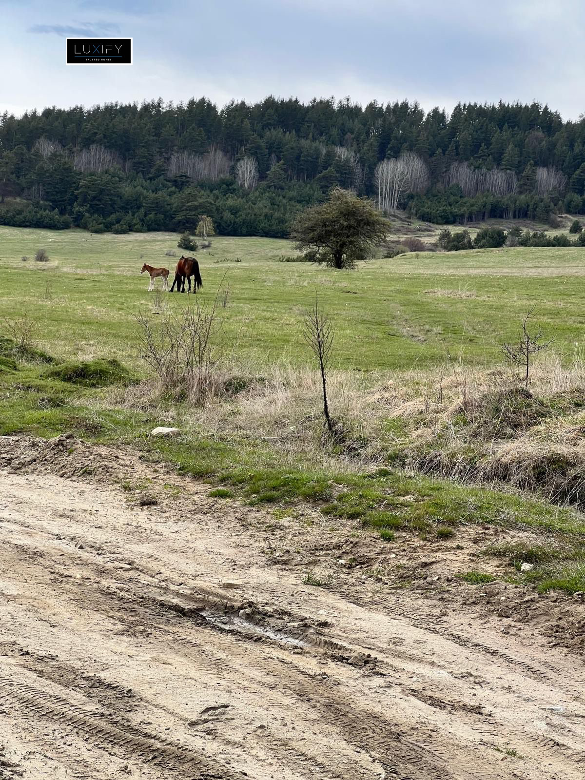 Продава ПАРЦЕЛ | Imot.bg — изображение 7