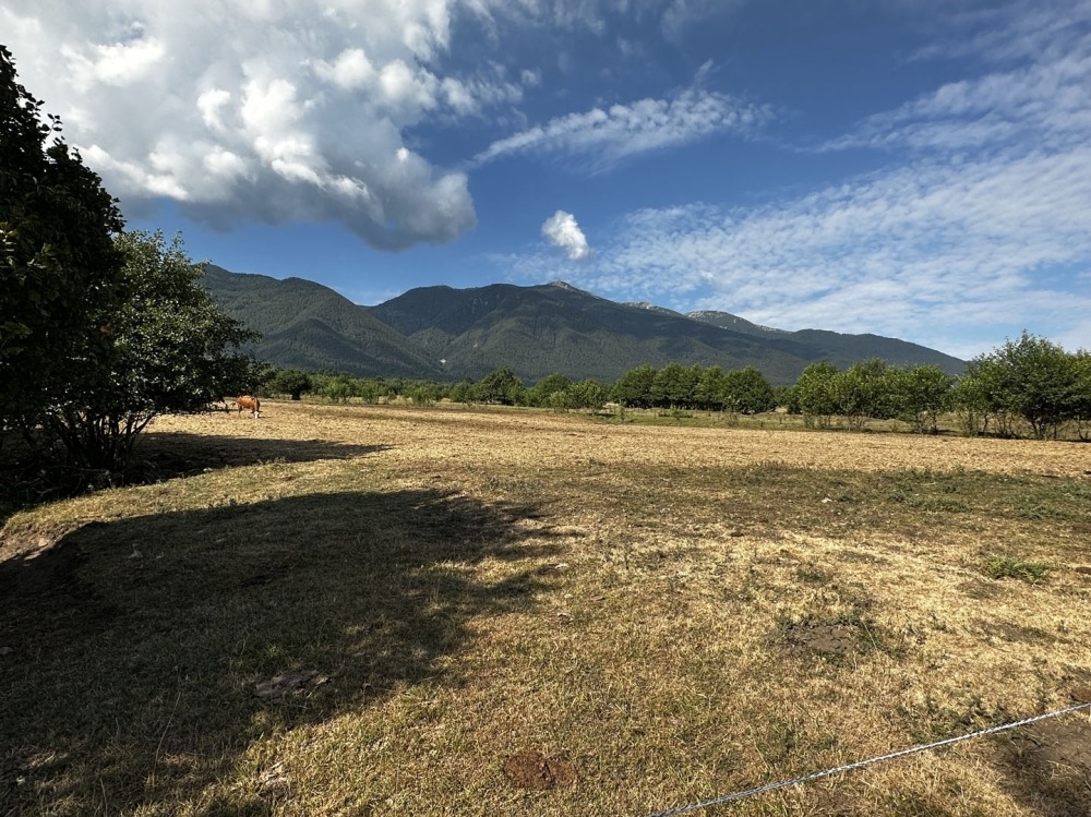 Продава ПАРЦЕЛ | Imot.bg — изображение 4