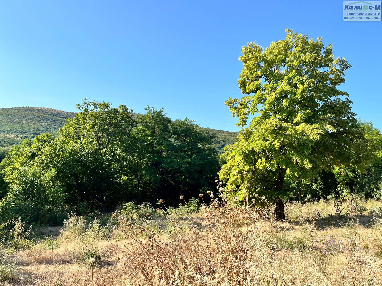 ������� ������ | Imot.bg � ����������� 11