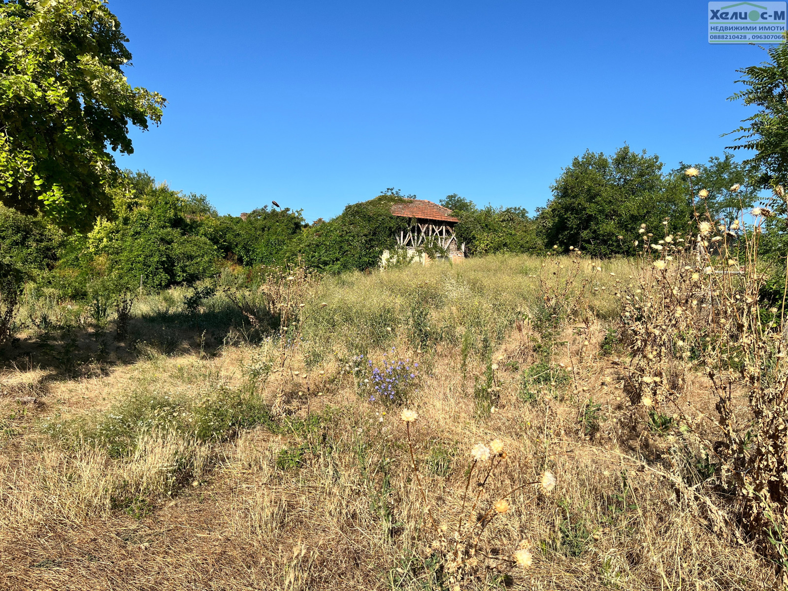 ������� ������ | Imot.bg � ����������� 12