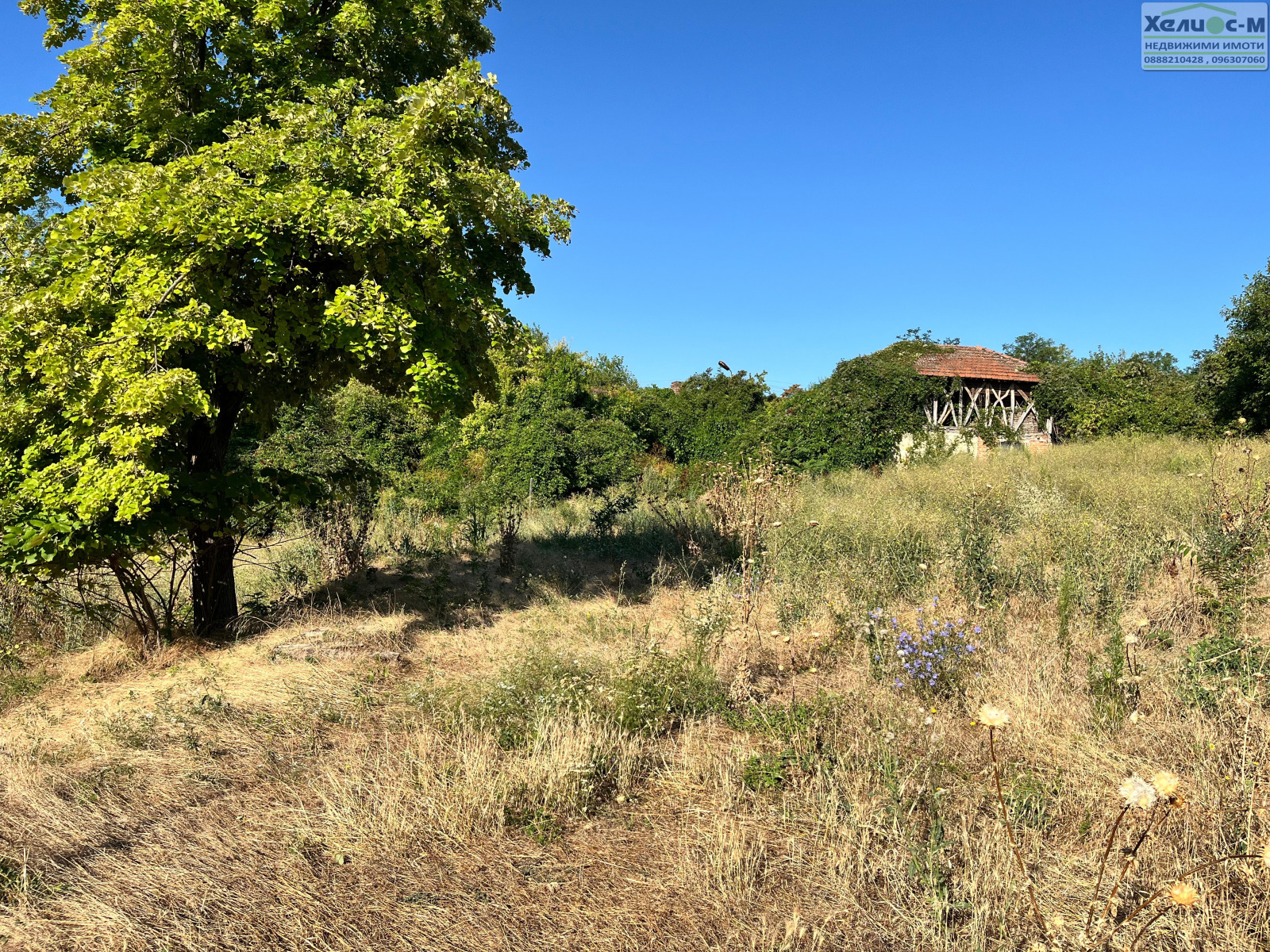 ������� ������ | Imot.bg � ����������� 10