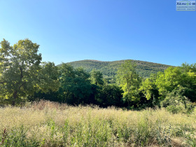 ������� ������ | Imot.bg � ����� ������ 8