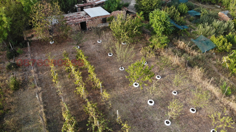 Продава ПАРЦЕЛ, с. Коиловци, област Плевен, снимка 5 - Парцели - 52785865