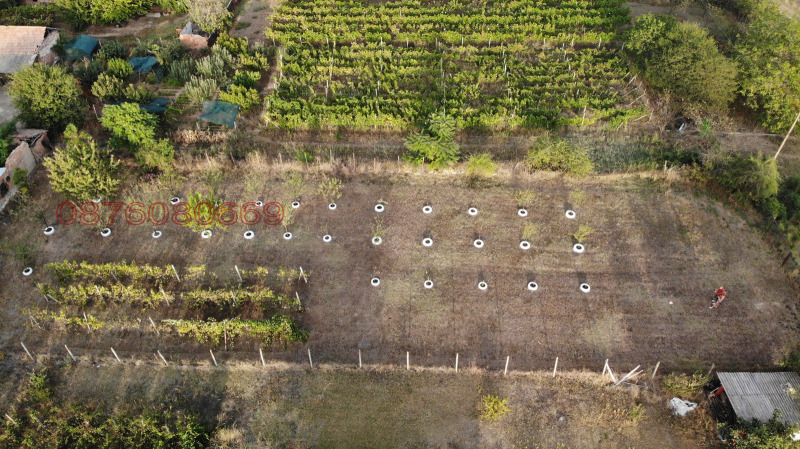 Продава ПАРЦЕЛ, с. Коиловци, област Плевен, снимка 4 - Парцели - 52785865