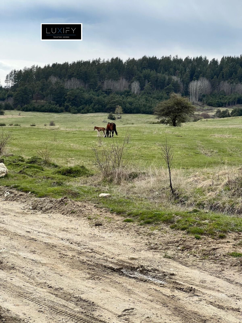 Προς πώληση  Οικόπεδο περιοχή Παζαρτζίκ , Βατακ , 6000 τ.μ | 32901231 - εικόνα [6]