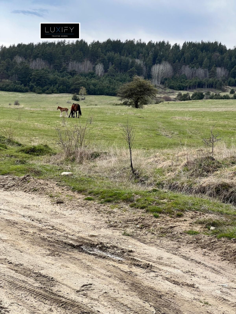 Προς πώληση  Οικόπεδο περιοχή Παζαρτζίκ , Βατακ , 6000 τ.μ | 32901231 - εικόνα [7]