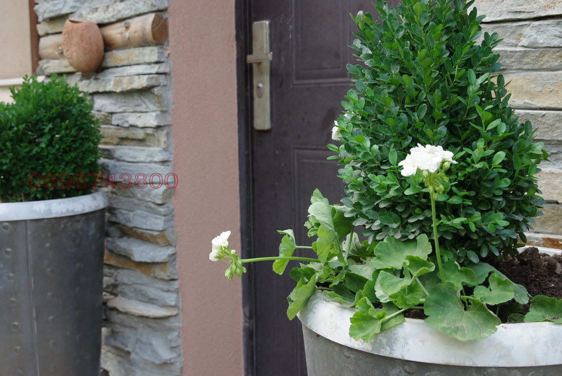 Продава КЪЩА, гр. Пловдив, Кършияка, снимка 4 - Къщи - 53602672