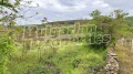 Продава ПАРЦЕЛ, област Стара Загора, с. Средно градище • 24000 € / 46939.92 лв. • 56029416 6