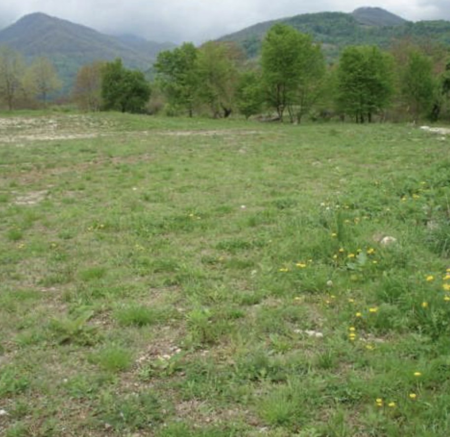 Продава ПАРЦЕЛ, с. Чифлик, област Ловеч