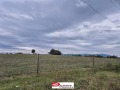 Продава ПАРЦЕЛ, с. Палици, област Велико Търново, снимка 3