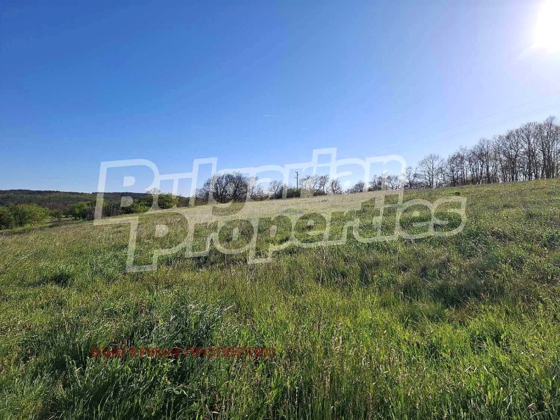 Продава ПАРЦЕЛ в област Ямбол, с. Александрово - 11090 кв.м / 54 100 € » 105 810.40 лв., БЪЛГЕРИАН ПРОПЕРТИС