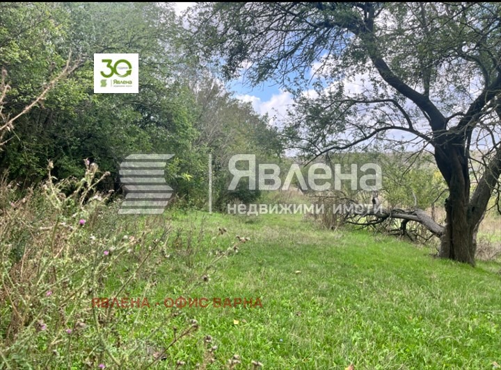 Продава  Парцел, област Варна, с. Калиманци • 42 000 € • ID 13295574 — holmes.bg - [1] 
