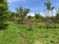 Продава ПАРЦЕЛ, с. Осеново, област Варна, снимка 1