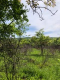 Продава ПАРЦЕЛ, с. Осеново, област Варна, снимка 2