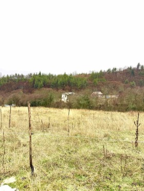 ����� ������� ���������� ����,�. ����� ���������, ������ ���������