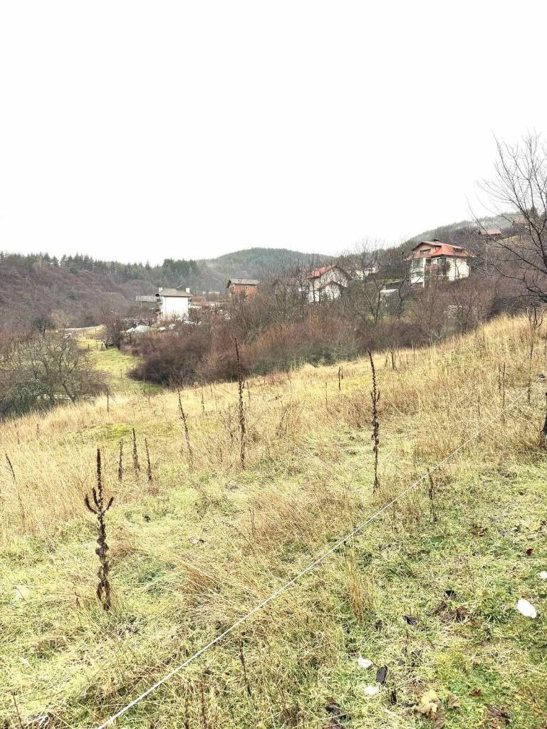 Продава ЗЕМЕДЕЛСКА ЗЕМЯ, с. Горна Брестница, област Кюстендил, снимка 2 - Земеделска земя - 53242204