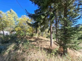 ������� ���� | Imot.bg � ����� ������ 10